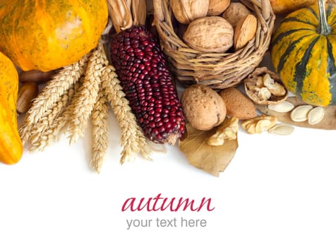 Harvest background with corn, pumpkins, leaves and nuts