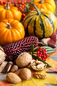 Autumn composition with pumpkins, berries, nuts and corn