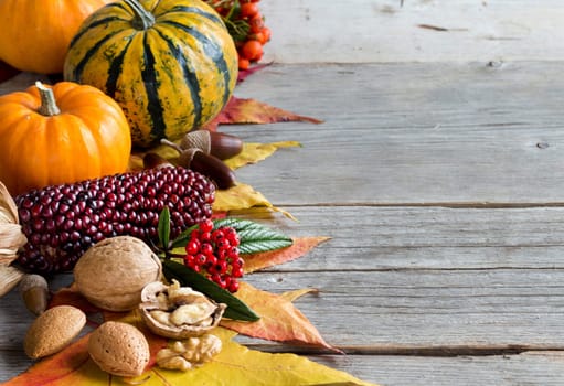 Autumn composition with pumpkins, berries, nuts and corn