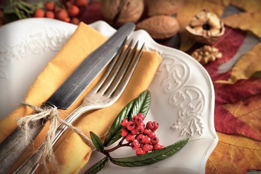 Autumn rustic table setting with berries, leaves and nuts