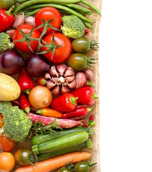 Colorful vegetables border on a white background