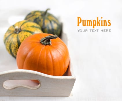 Pumpkins in a shabby chic tray on a white shabby table