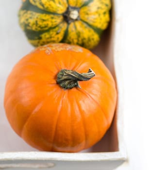 Pumpkins in a shabby chic tray on a white shabby table