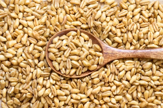 Raw organic spelt with a spoon close up