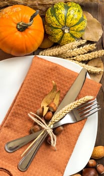Autumn table setting with nuts, pumpkins and wheat