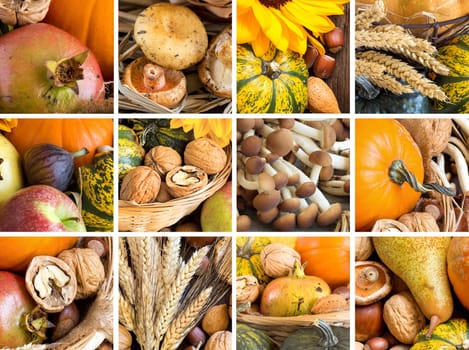 Rustic autumn collage: fruits, cereals and vegetables on the wooden table