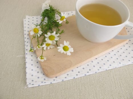 A cup of chamomile and chamomile flowers