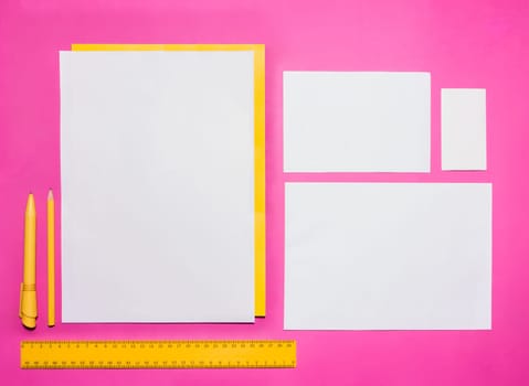 Mock-up business template with cards, papers, pen on pink background.