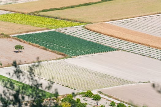 Vogel's perspective on different fields,Mallorca,Spain.