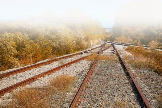 Railway Line Disappearing Into The Fog