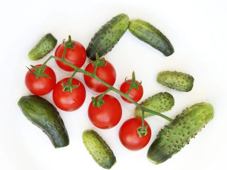 fresh cucumbers and branch of red tomatoes isolated on the white