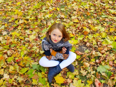 girl sits on the yellow leaves in the Autumn park