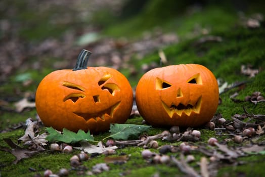 close up on halloween pumpkin in autumn forest