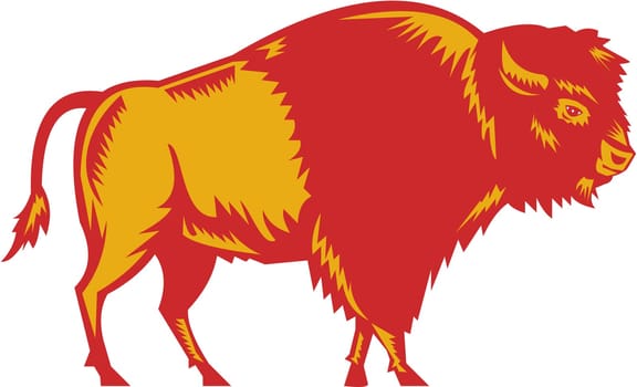 Illustration of an american bison buffalo bull viewed from the side set on isolated white background done in retro woodcut style.