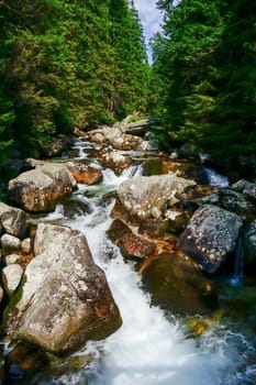 Mountain creek in High Tatra Mountains, Slovakia