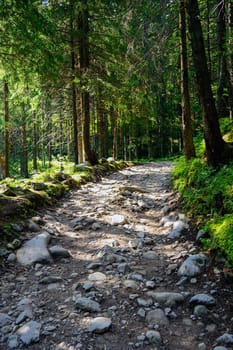 Tourist  Road in High Tatra Mountains, Slovakia