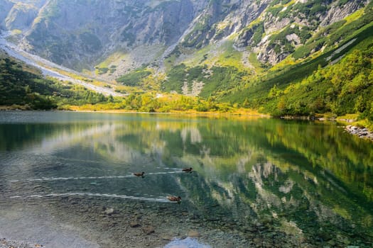 Green Lake in High Tatra Mountains, Slovakia
