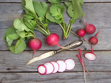 Fresh radish on wooden background