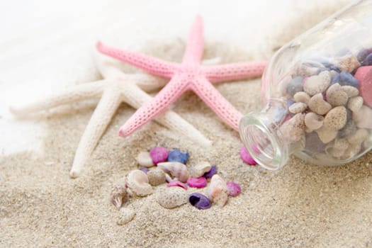 Sea shells and starfish on sand