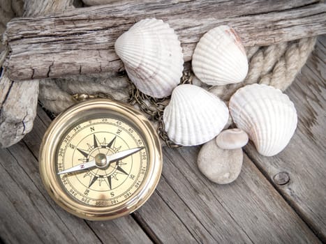 Exploring background with compass and seashells