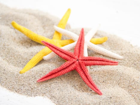 Starfishes on sand