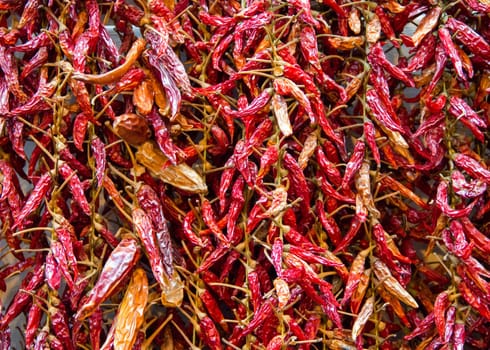 Bundle of dried red hot pepper