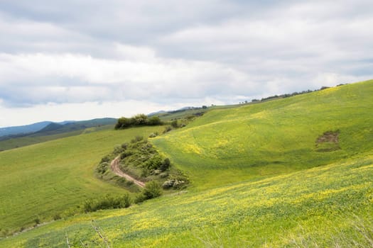 Hills landscape with field and cloudy sky
