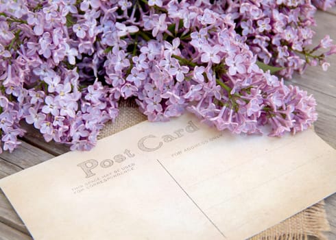 Lilac and postcard on weathered wood