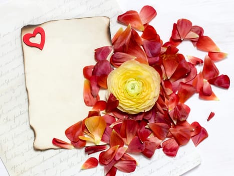Message and Ranunculus flowers