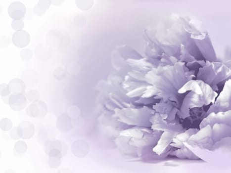 Beautiful flowers made with color filters - Abstrack background