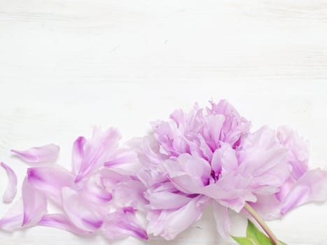 Peony
