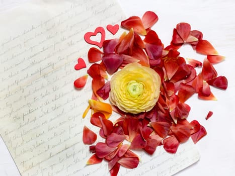 Ranunculus flowers background