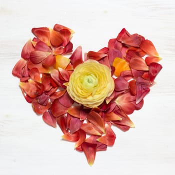 Heart made from red petals