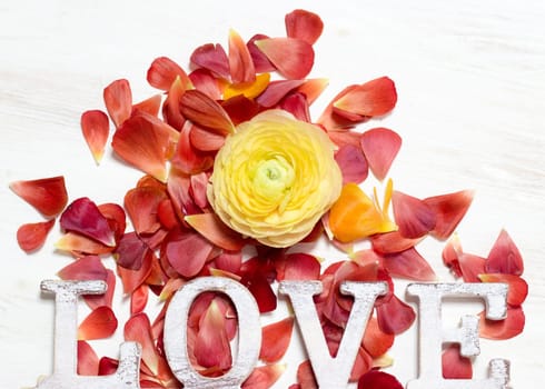 Ranunculus flowers and letters LOVE background