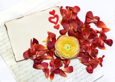 Message and Ranunculus flowers