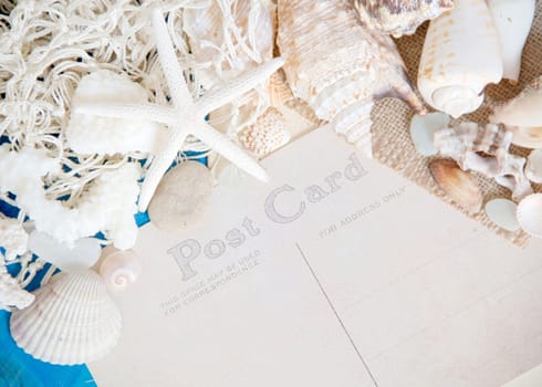 Postcard from the traveler