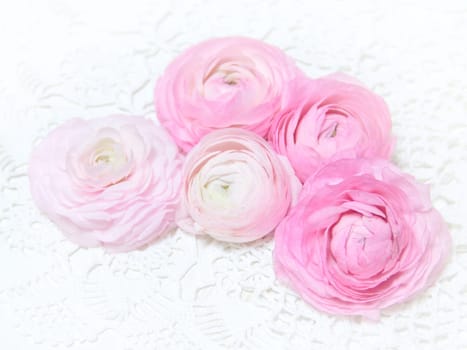 Ranunculus flowers
