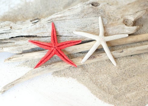 Starfish and wood - Tropical travel