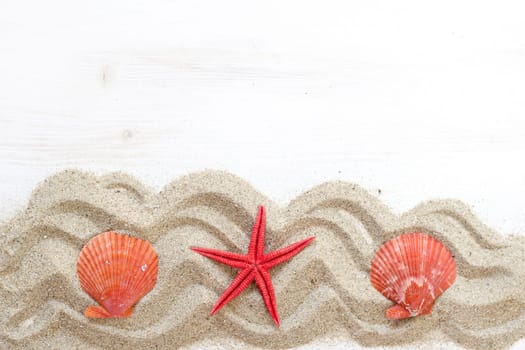 Sea shells ans starfish - Tropical travel