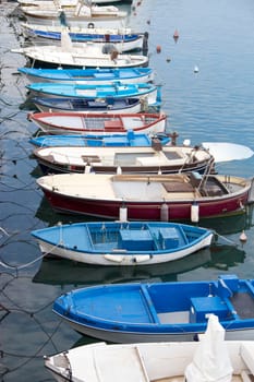 Fishing boats