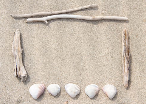 Sea shells and wood on sand