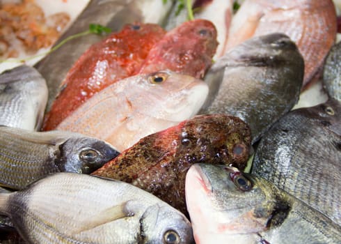 Mixed fish for sale on a market