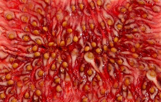 close up on fig,background or texture