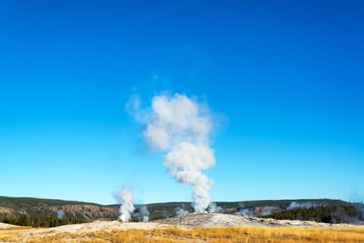 View of Old Faithful and the Upper Geyser Basin in Yellowstone Naitonal Park