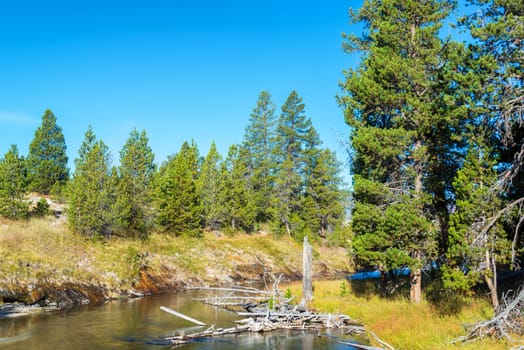 View of the Firehole River in Yellowstone National Park