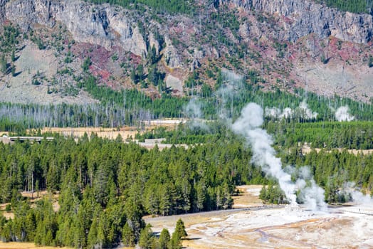 View from above of the Grotto Geyser in the Upper Geyser Basin in Yellowstone National Park