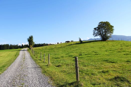A hiking trail in Bavaria. Hiking in Bavaria in summer