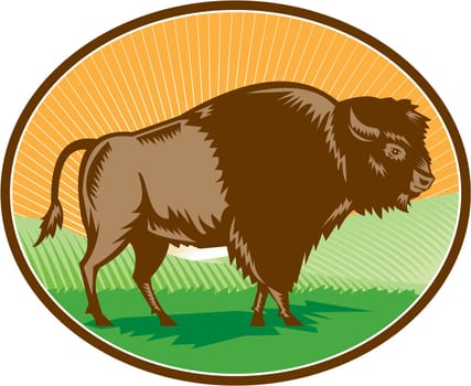 Illustration of an american bison buffalo bull viewed from the side set inside oval shape with sunburst and grass field in the background done in retro woodcut style.