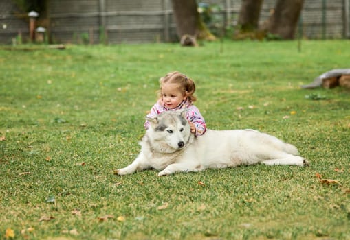 The little baby girl playing with dog against green grass in park