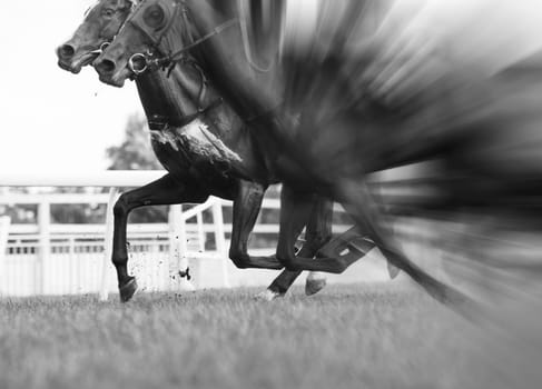 horse racing,selective focus and blurred,black and white